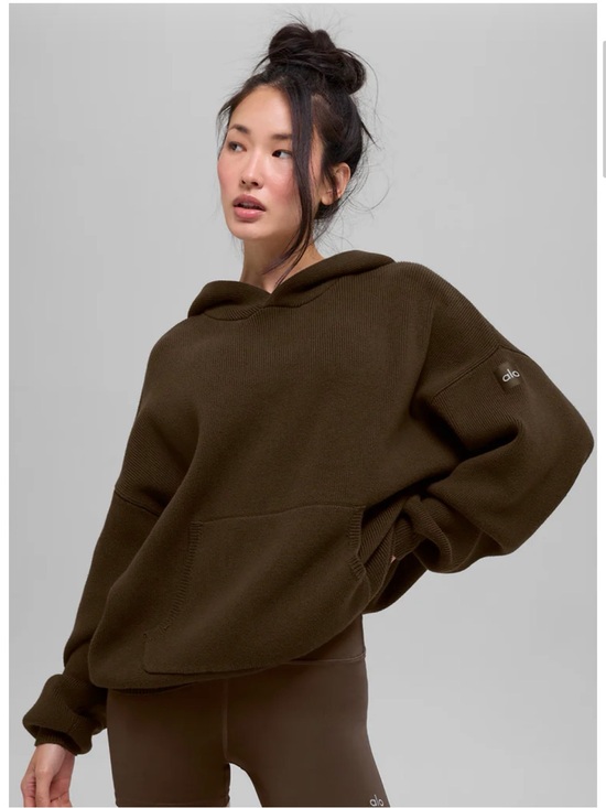 ALO Yoga Sweaters - Alo Scholar Hooded Sweater